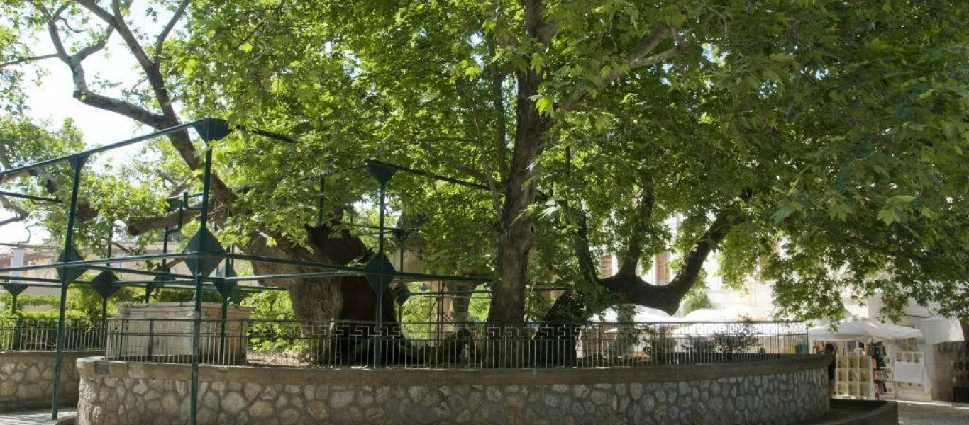 Κως: Το νησί των Δωδεκανήσων με τον πλάτανο του Ιπποκράτη και η ιστορία του